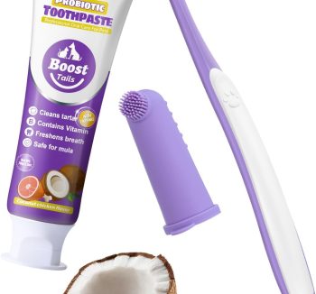 small pet dental care