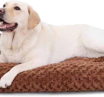 large dog bed washable