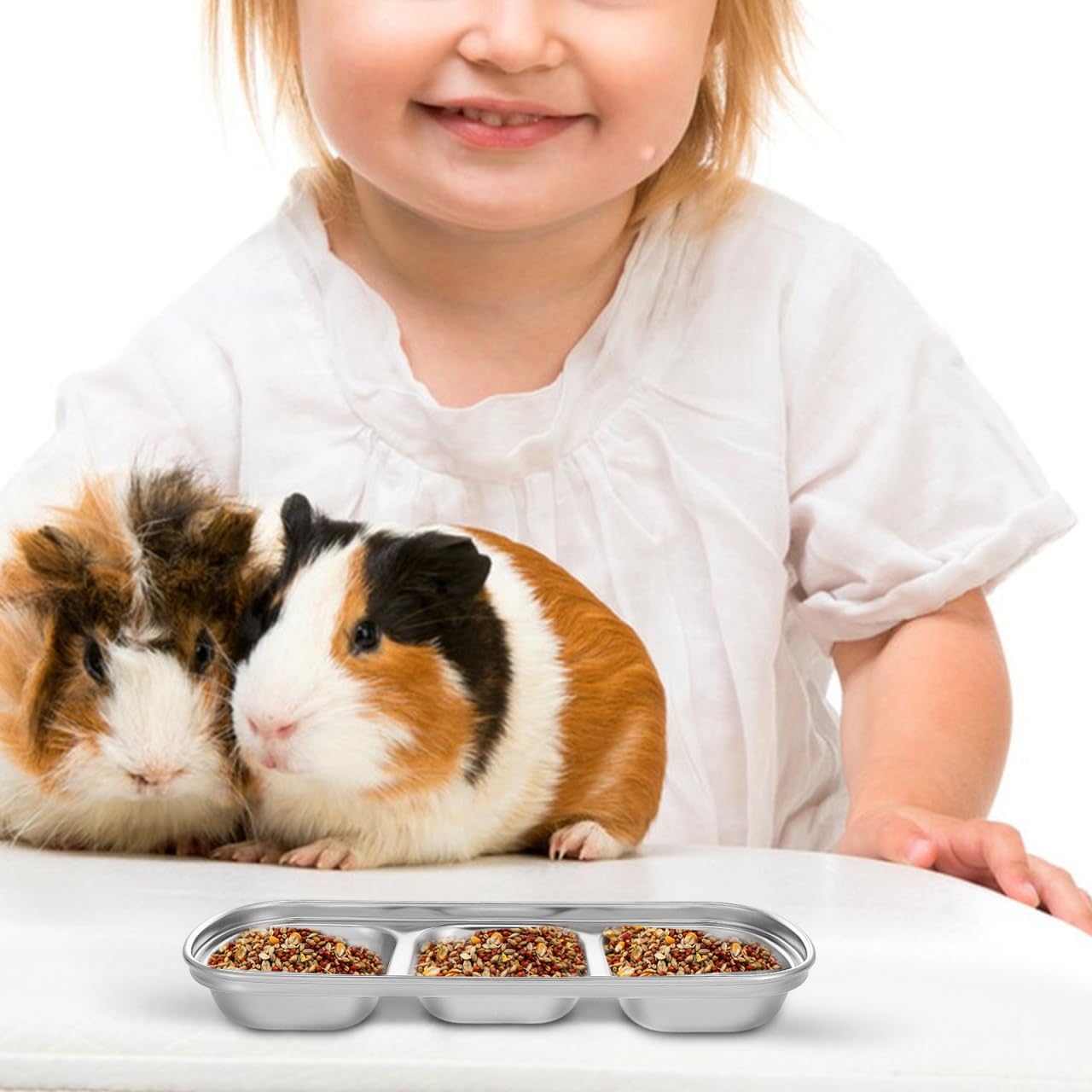 Compartment Pet Tray Food Bowls: 2pcs Stainless Steel Cat Bowl Divided Pet Dishes Bowls for Kitten Small Dogs Food Water Feeder - Happypetzone.online - Image 7