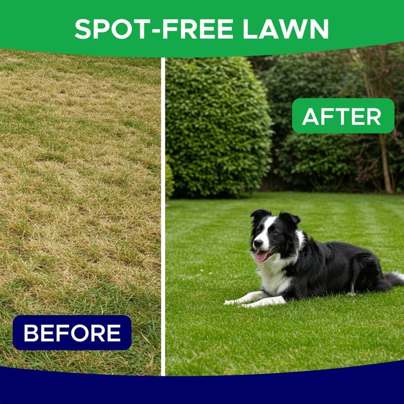 Green Grass Dog Chews for Lawn Protection – Dog Urine Neutralizer for Grass Burn Spots – Lawn Restore Treats – Made in USA – 120Ct Soft Chews - Happypetzone.online - Image 3