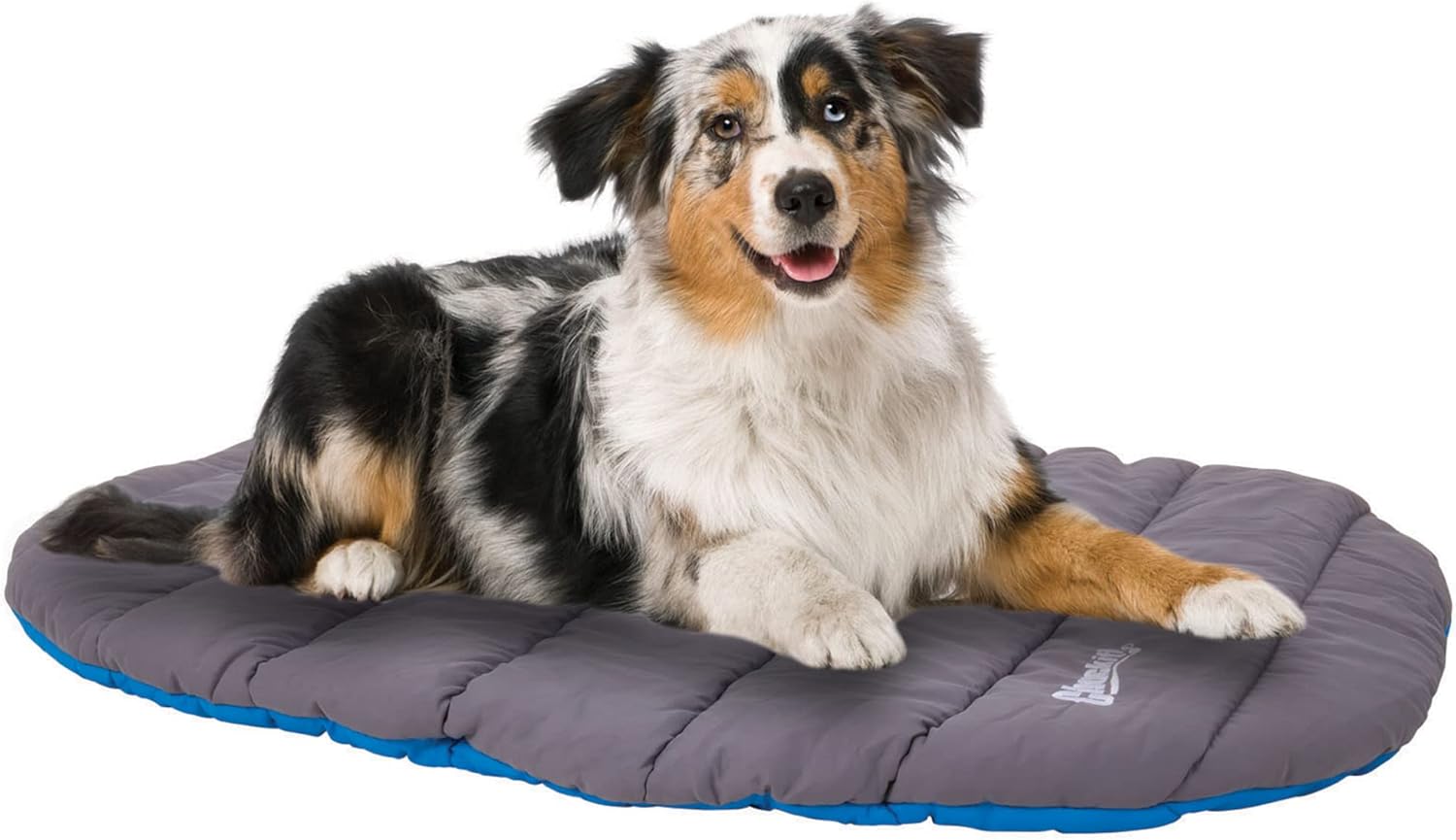 Chuckit! Outdoor Travel Portable Water Resistant Travel Pillow Dog Bed For Medium to Large Dogs 20 to 100 lbs, 39"L x 30"W, Blue - Happypetzone.online - Image 6