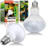 reptile heat lamp