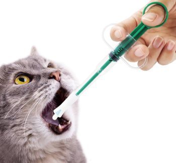 small pet medicine safe