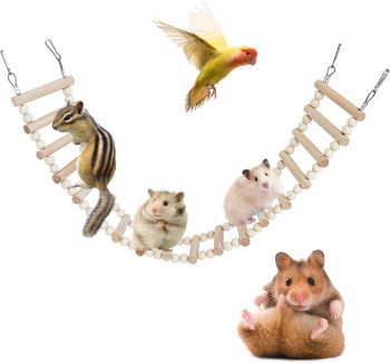 hamster ladder toy