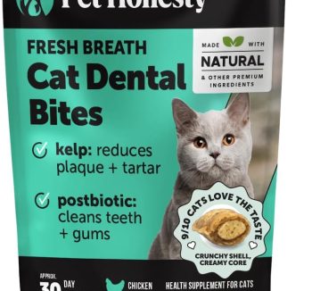 cat dental treats