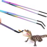 reptile feeding supplies
