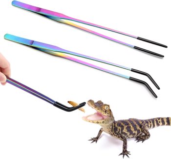 reptile feeding supplies