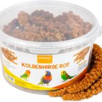 organic bird food