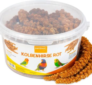 organic bird food