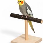 bird perch stand