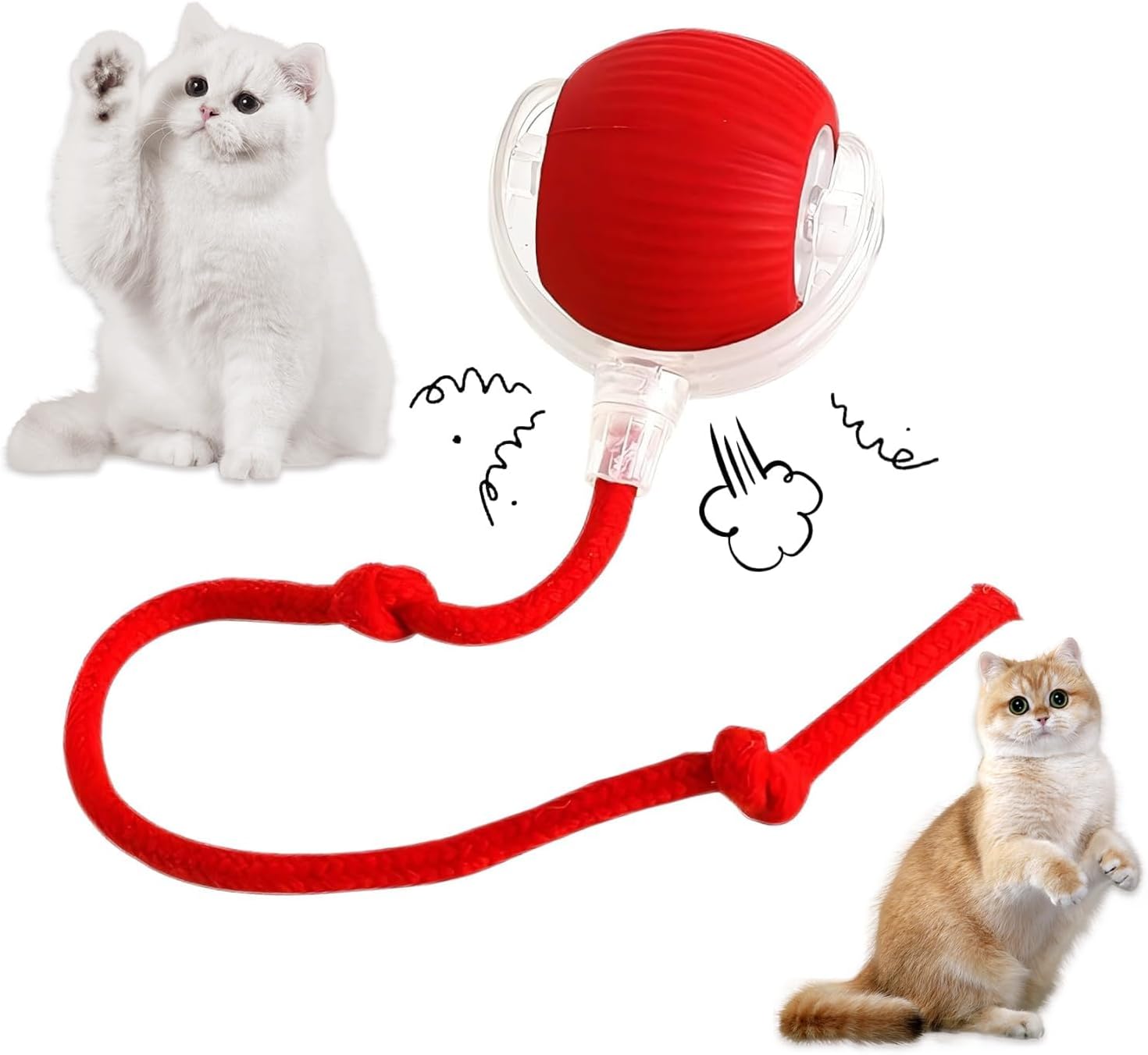 cat toy ball rolling