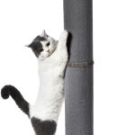 cat scratching post tall