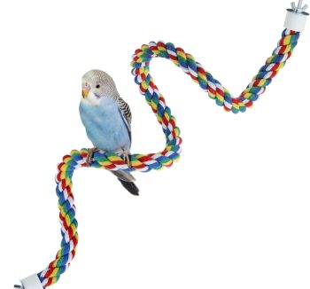 bird perch for cage