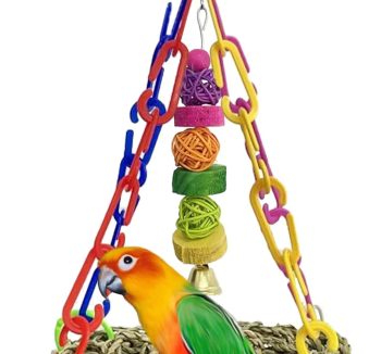 bird swing durable