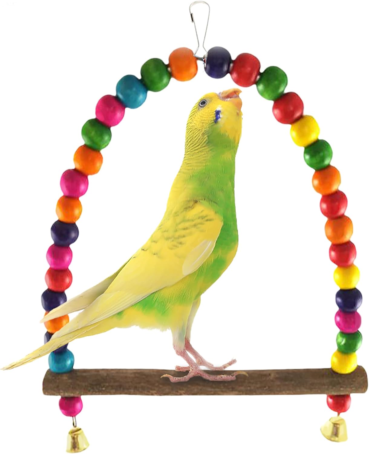 bird swing for birds