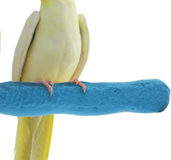 bird perch amazon best