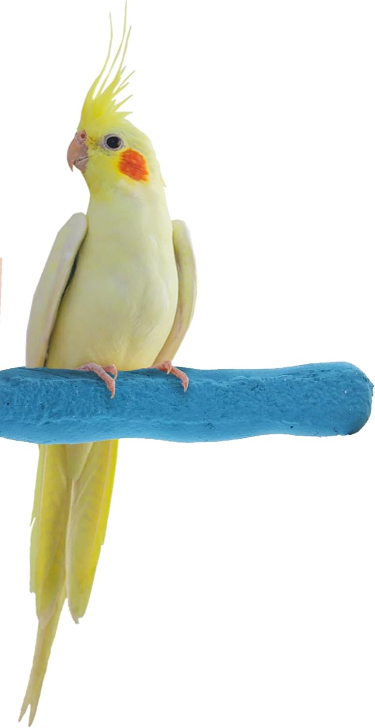 bird perch amazon best
