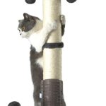 cat scratching post