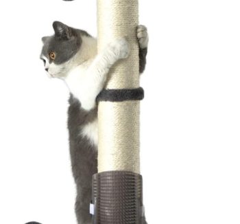 cat scratching post