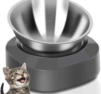 best cat food