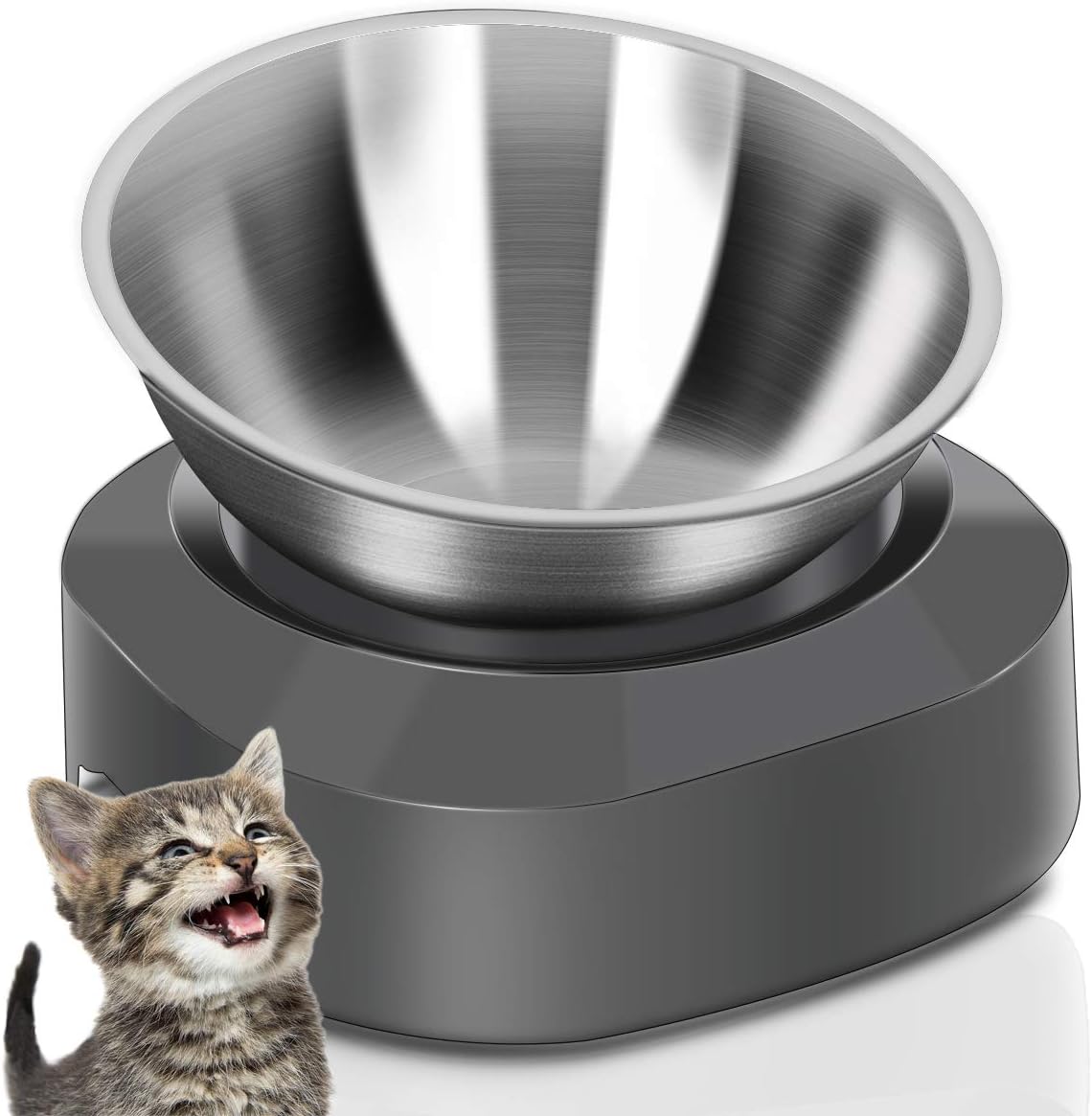 best cat food