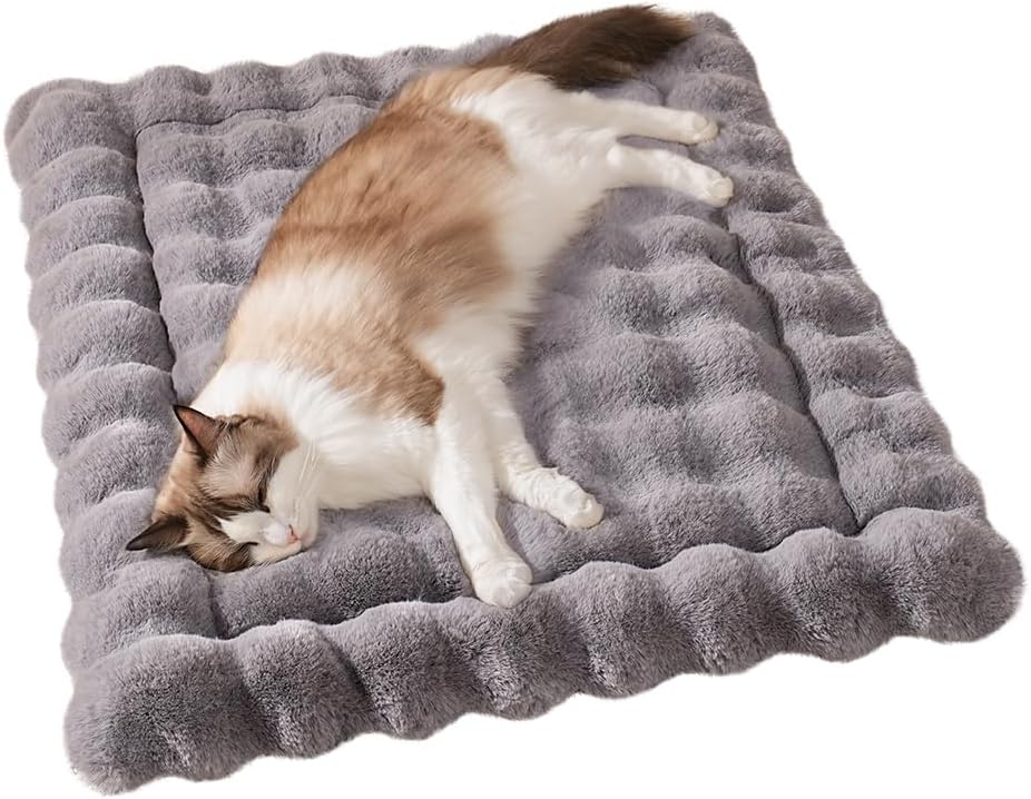 cat bed heated