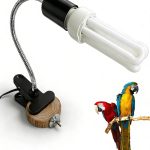bird health products kit