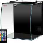 saltwater aquarium tank