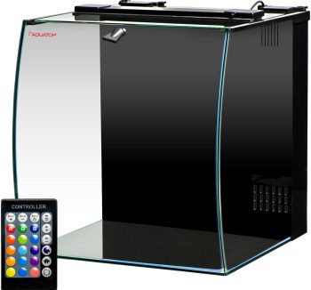saltwater aquarium tank