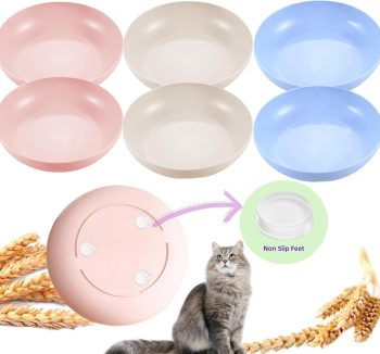 best cat food