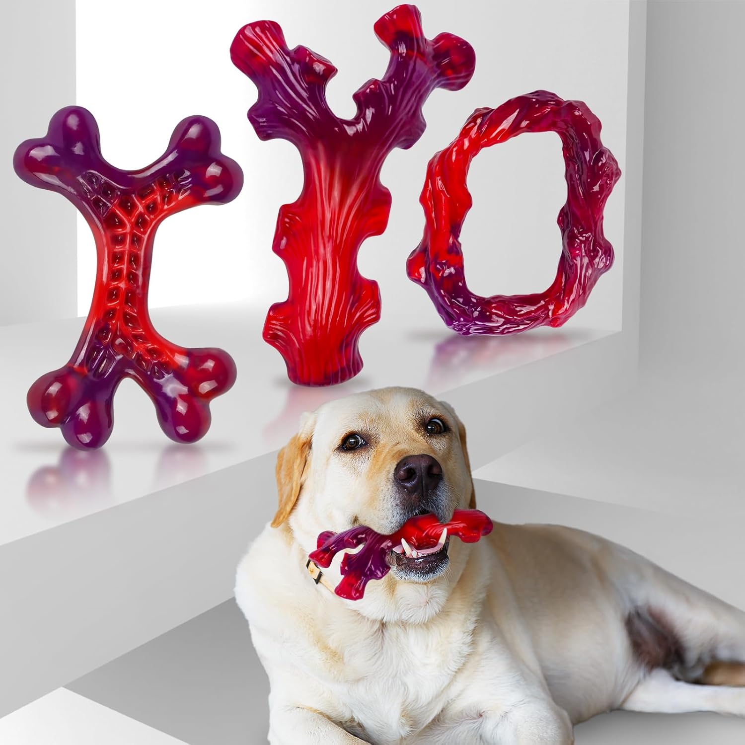Frienhund 3 Pack Indestructible Dog Chew Bones for Aggressive Chewers - Heavy Duty Long Lasting Chew Toys for Large Dogs, Nylon Teeth Cleaning Toys - Happypetzone.online - Image 8