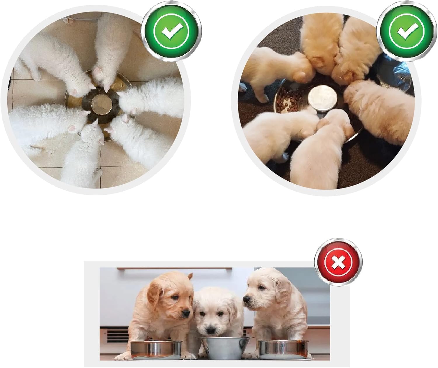 Puppy Dog Bowl, Stainless Steel Multiple Puppies Feeder, Dogs Basic Food and Water Bowls Weaning Dish for Small, Medium and Large Dogs Pets - Happypetzone.online - Image 4