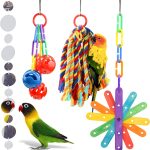 bird toys hanging