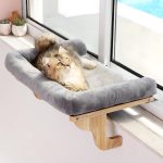 cat hammock window