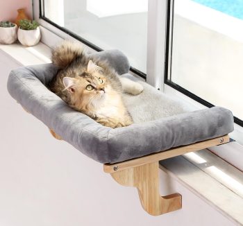 cat hammock window