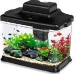 small fish tank desktop