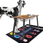 best dog food