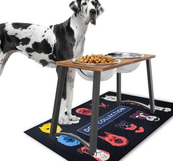 best dog food