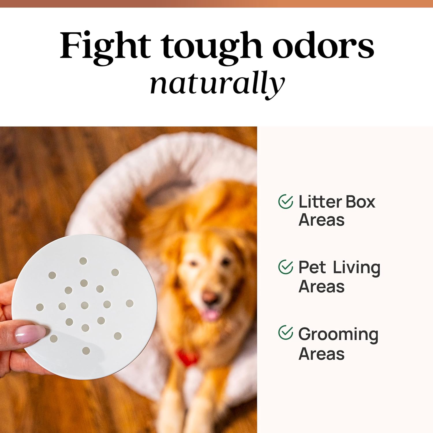 Azuna Pet Odor Eliminator for Strong Odor Gel | Plant Powered Australian Tea Tree Oil | Dog and Cat Room Deodorizer | Child and Pet Safe Air Fresheners for home | Cedarwood Scent | 8oz Pod - Happypetzone.online - Image 2
