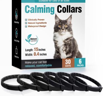 cat anxiety relief