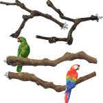 bird perch wood natural
