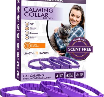 cat calming treats