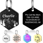 personalized dog collar