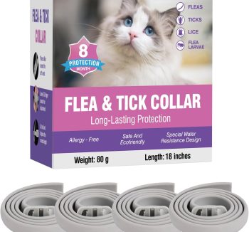 cat flea treatment