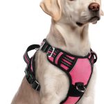 dog harness for large dogs