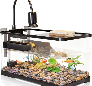 reptile tank starter kit