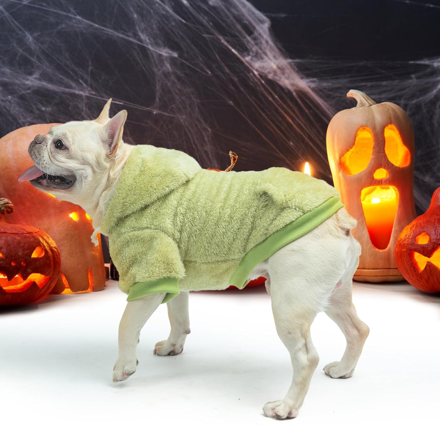 SCENEREAL Fleece Dog Sweaters Hoodie for Small Medium Large Dogs Girls Boys, Plush Fuzzy Dog Clothes Hoodies with Leash Hole, Winter/Fall Puppy Cold Weather Coat, Sherpa Hooded Sweatshirt, Green M - Happypetzone.online - Image 8