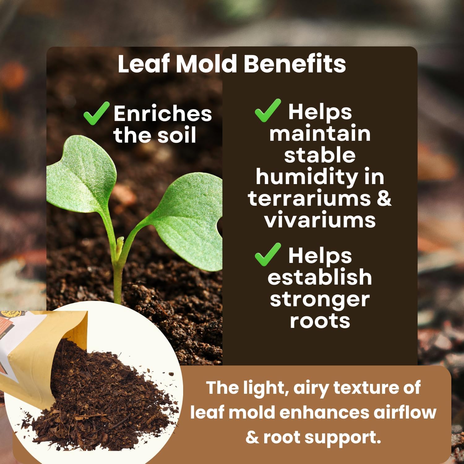 SCOTTY'S BUGS All Natural Leaf Mold for Bioactive Terrariums & Vivariums – Perfect for Isopods, Springtails, Amphibians & Reptiles – 12oz. Pack - Happypetzone.online - Image 6