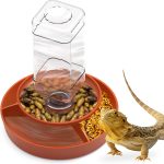 reptile nutrition food