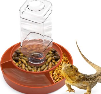 reptile nutrition food